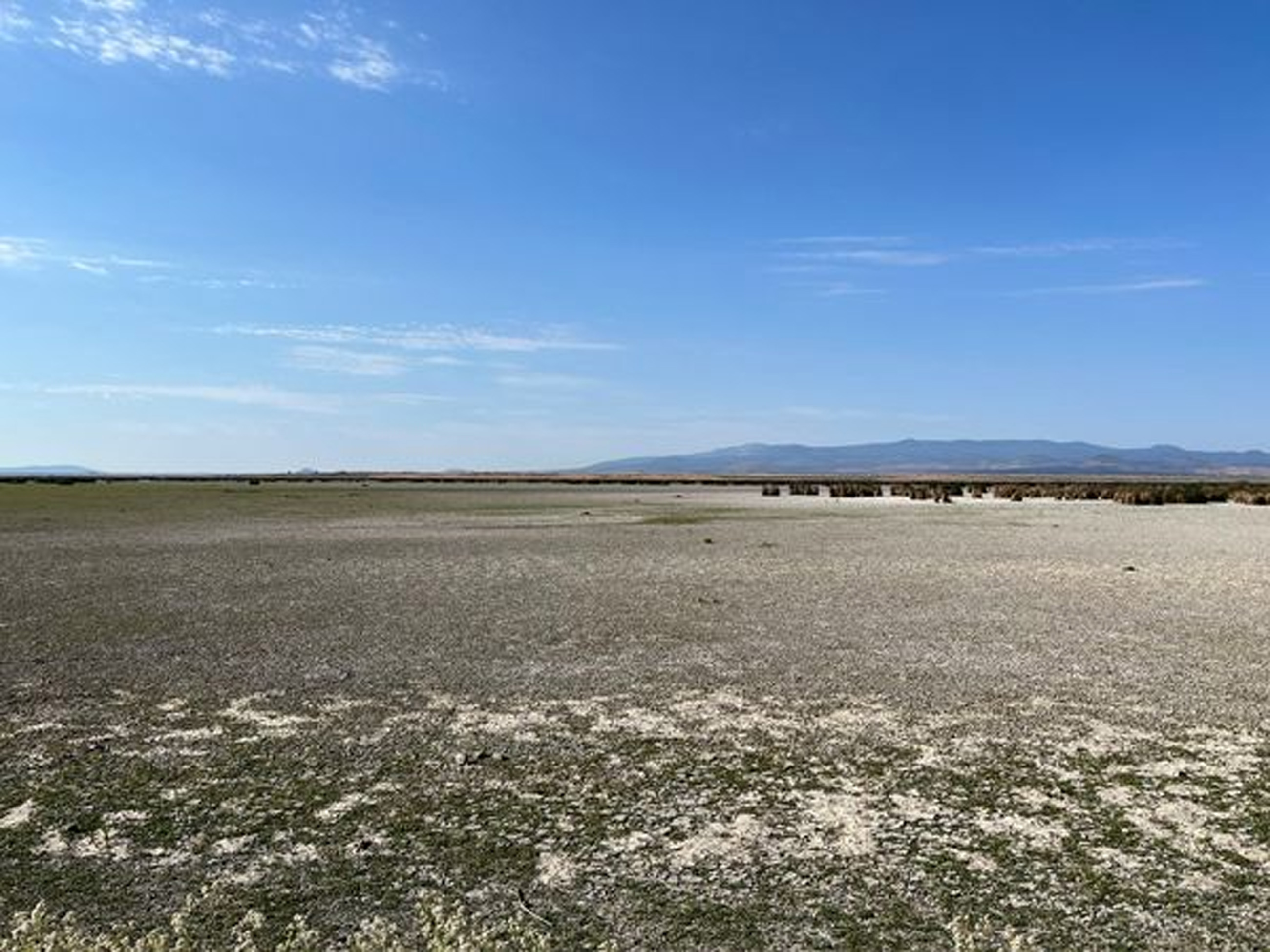 Tule Lake National Wildlife Refuge FWS.gov
